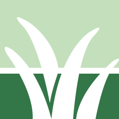 Poison Ivy Vine Control Pros