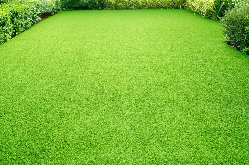 Lawn After Treatment
